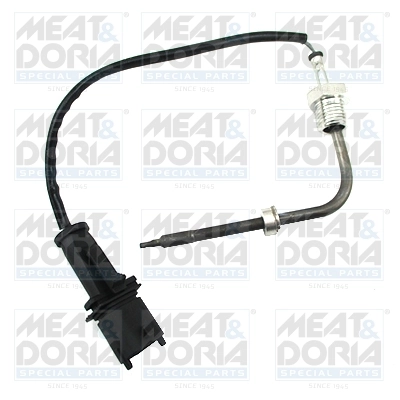 Sensor, exhaust gas temperature